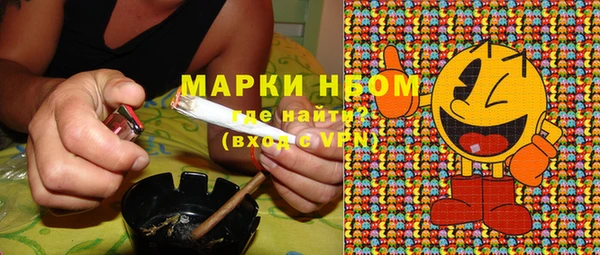 индика Балахна