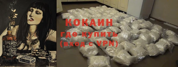 индика Балахна