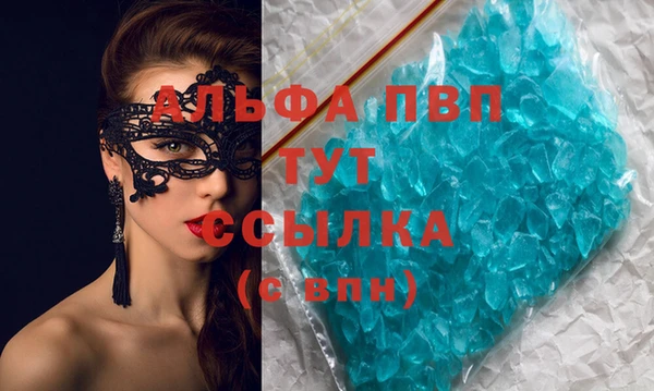 индика Балахна