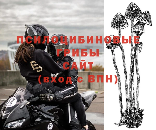 Альфа ПВП Балабаново